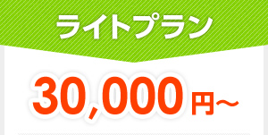 ライトプラン 30,000円～